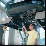 Diagnostic Play Detectors PI